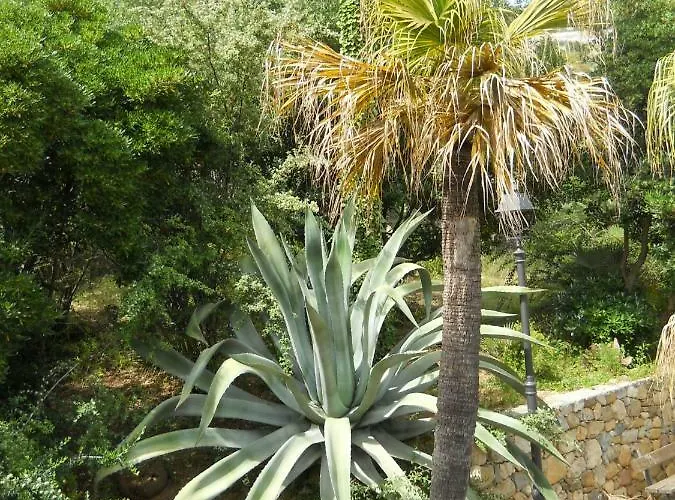 Appartamento Bordighera Appartement *